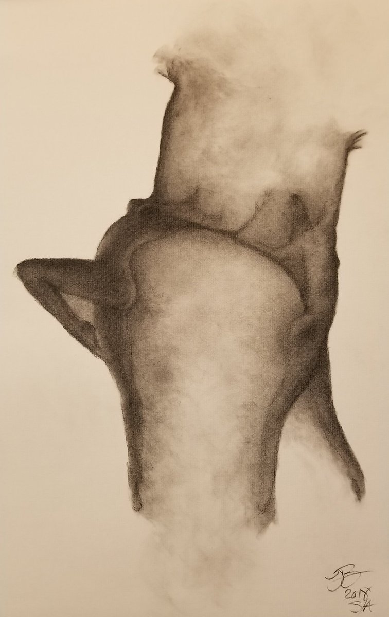 Move #10 Charcoal on paper 11x17. Hope you connect. #dance #dancer #ballet #balletdancer #movement #move