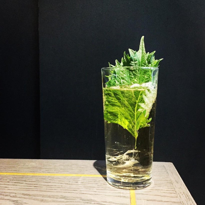 ResidentParadiseRow tweet media