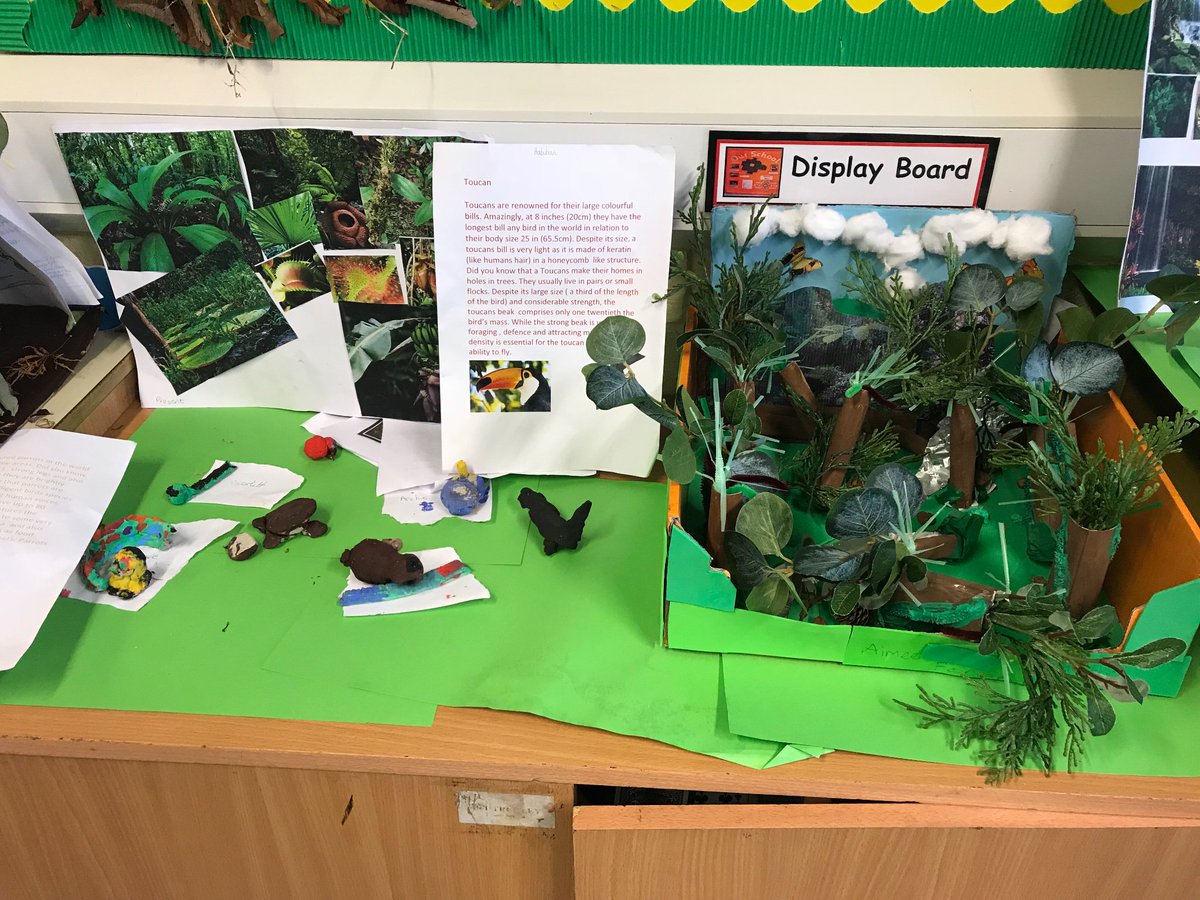 EtonParkJunior's tweet photo. Wow! Year 4 have completed some amazing rainforest projects at home as part of their topic this year! Well done all! Follow this link if youβd like some ideas of projects you can complete with your children: https://t.co/a6ElpJ1aVg #aspireandachieve #extrahomework #rainforests https://t.co/NSsXAKKfJ1