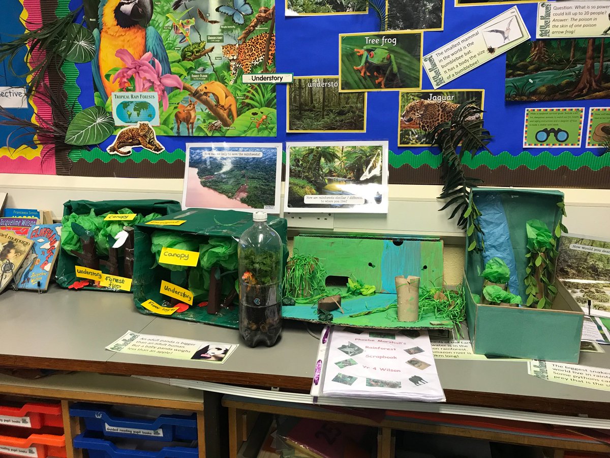 EtonParkJunior's tweet photo. Wow! Year 4 have completed some amazing rainforest projects at home as part of their topic this year! Well done all! Follow this link if youβd like some ideas of projects you can complete with your children: https://t.co/a6ElpJ1aVg #aspireandachieve #extrahomework #rainforests https://t.co/NSsXAKKfJ1