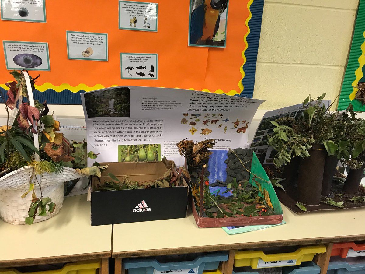 EtonParkJunior's tweet photo. Wow! Year 4 have completed some amazing rainforest projects at home as part of their topic this year! Well done all! Follow this link if youβd like some ideas of projects you can complete with your children: https://t.co/a6ElpJ1aVg #aspireandachieve #extrahomework #rainforests https://t.co/NSsXAKKfJ1