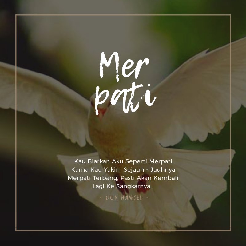 dandyhaycel's tweet photo. Merpati ku https://t.co/pp3ZssSQ5Q