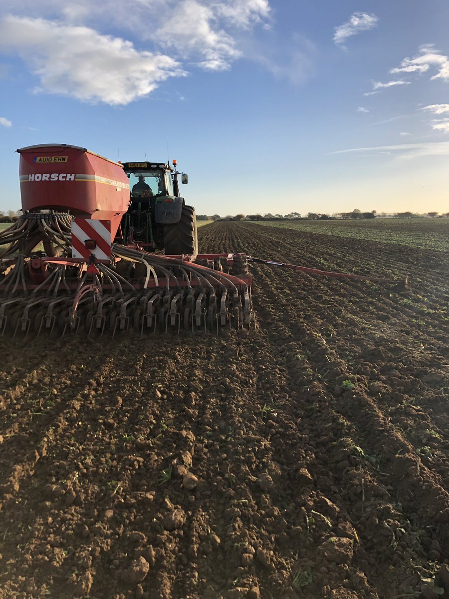 farmerkit's tweet photo. Great day to be lifting #sugarbeet for @BritishSugar. Wheat drilling straight behind. @NFUSugar #holmer #t430 https://t.co/iM26poDbq7