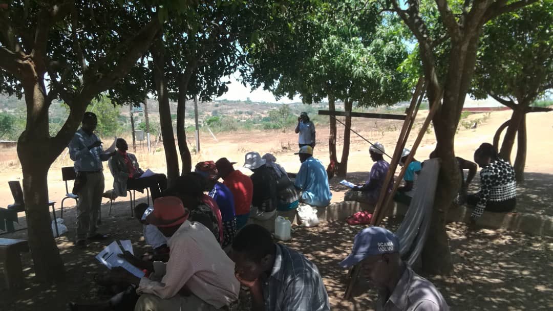 NhakaFoundation's tweet photo. Whether its under trees or in classrooms, parents & caregivers participate in parenting training meetings on great home-school relationships with the children in their care #supportiveenvironment #parentingtraining #ittakesavillage @juli7k @zinecda @PatrickMakokoro @juli7k https://t.co/G9VNb9DAGo