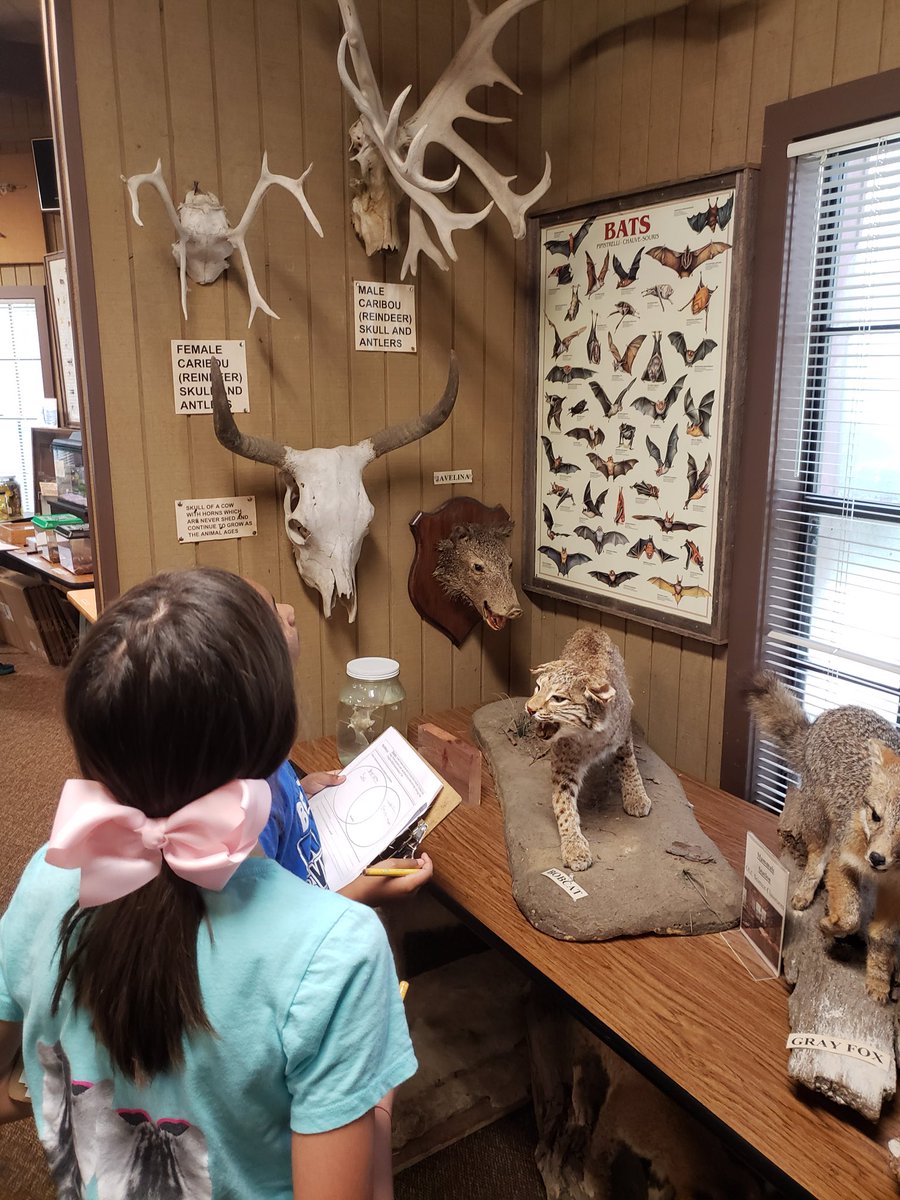 pmefourthgrade tweet media