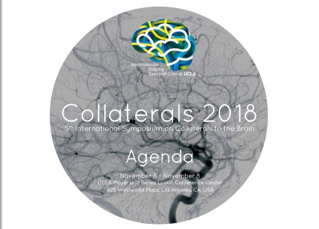 Akmaral_Orunb's tweet photo. So, here we go! #Collaterals2018
Kyrgyz team's supervisor @inna_lutsenko is
opening the session for countries of Central Asia.
#Kyrgyzstan
#Tajikistan
#Uzbekistan https://t.co/fxgY0BufpM