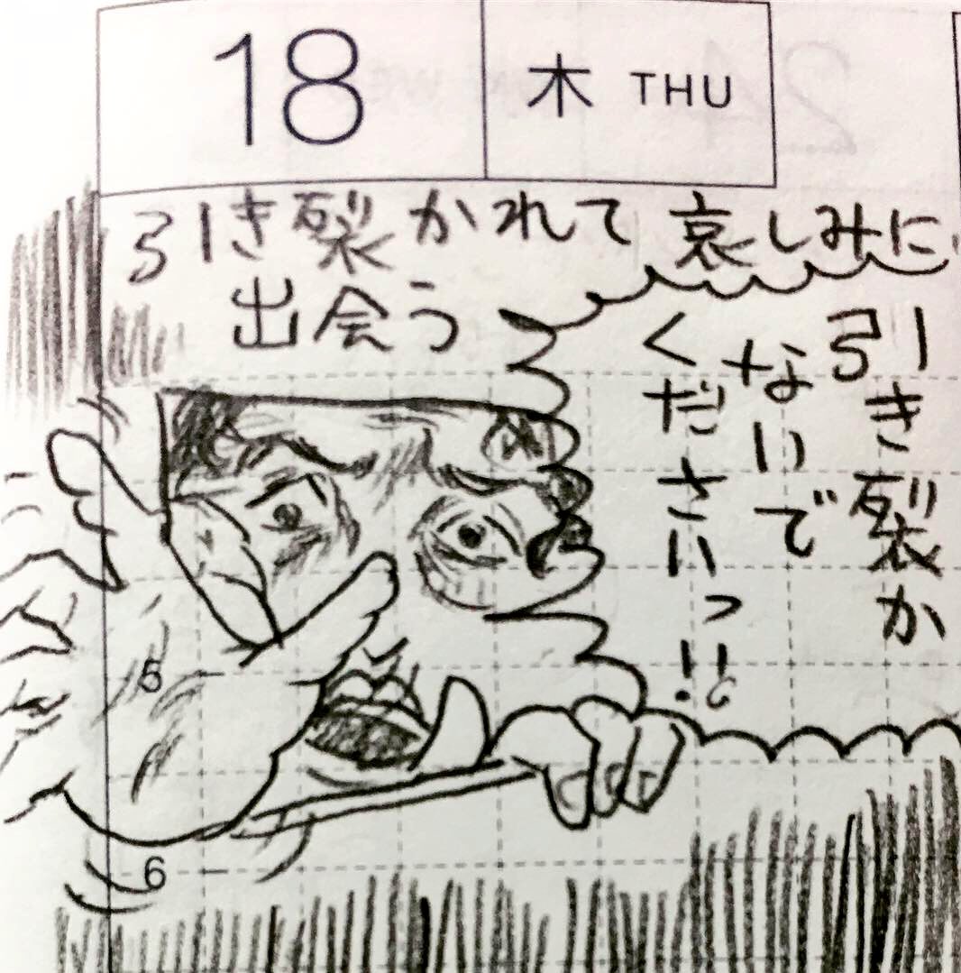 10月第3週のひとコマ絵日記。引き裂かれた心の傷はまだ癒えないけど、ご近所さんからのラインはだいぶ落ち着いてきてホッとしてる
#真似日記
#ほぼ日 