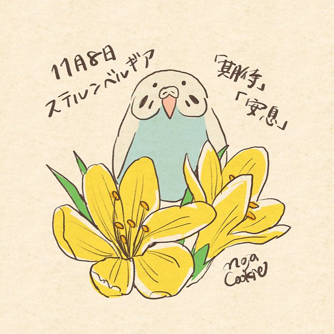 本日の誕生花のtwitterイラスト検索結果 古い順 本日の誕生花のtwitterイラスト検索結果 古い順