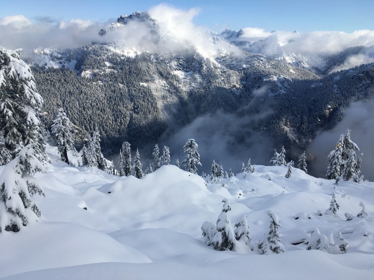 SummitSnow411's tweet photo. It turned into a beautiful day in the mountains! #Alpental #Chair2
π·: Mark B. & Bram T. https://t.co/JczjXrSZam