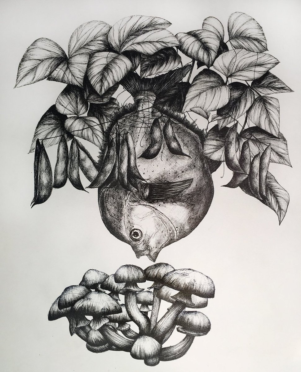 pausha's tweet photo. OPAH

pen and ink on watercolor paper
11x14 https://t.co/fQnx50LSuW