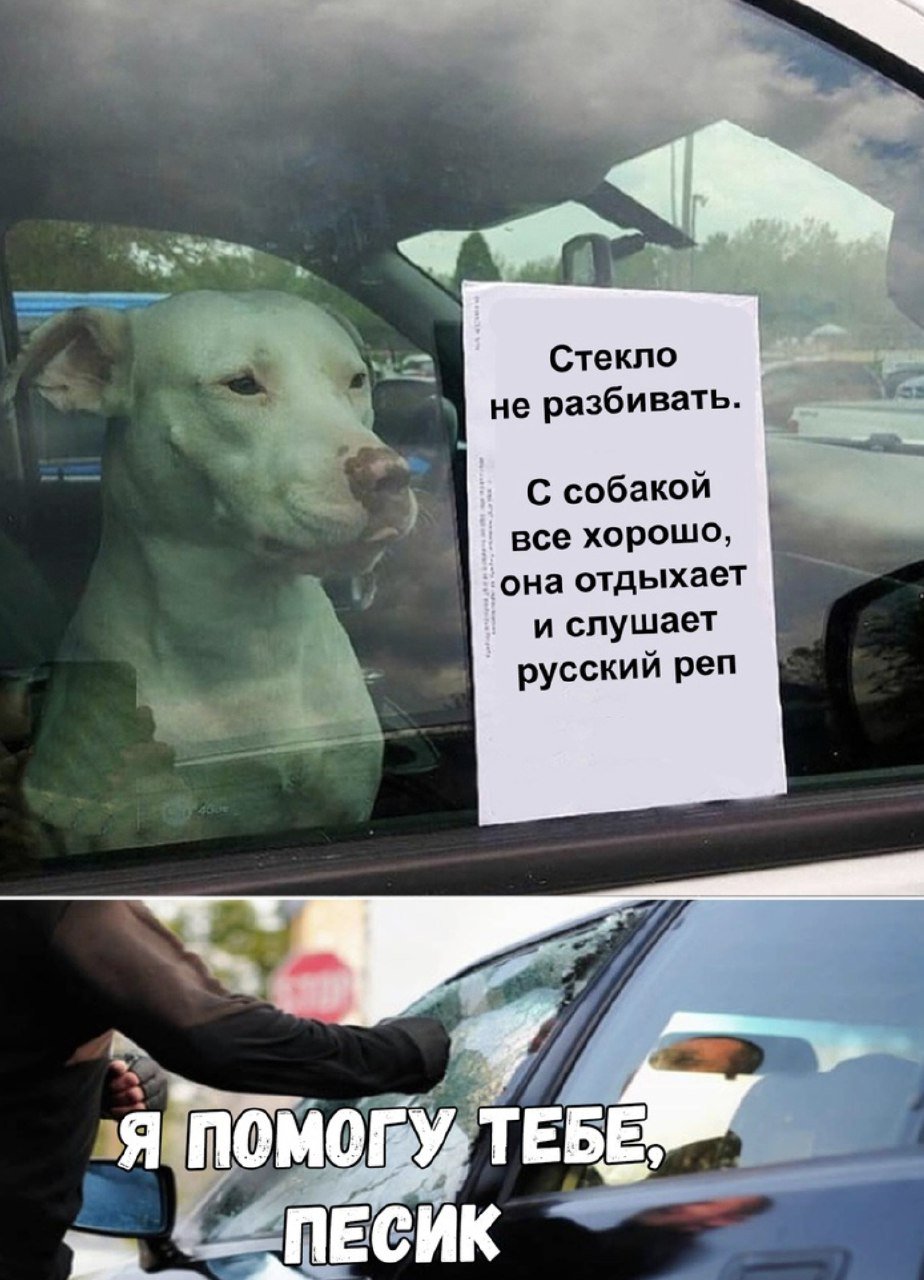 DrdINaHXcAALycz?format=jpg&name=large