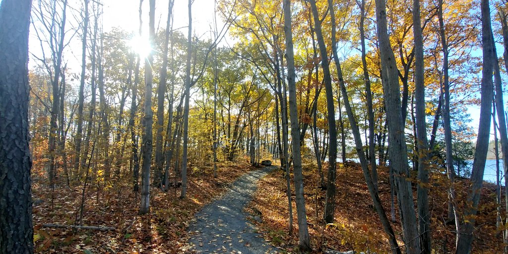 unexpected blessings and mindful moments #ygk
