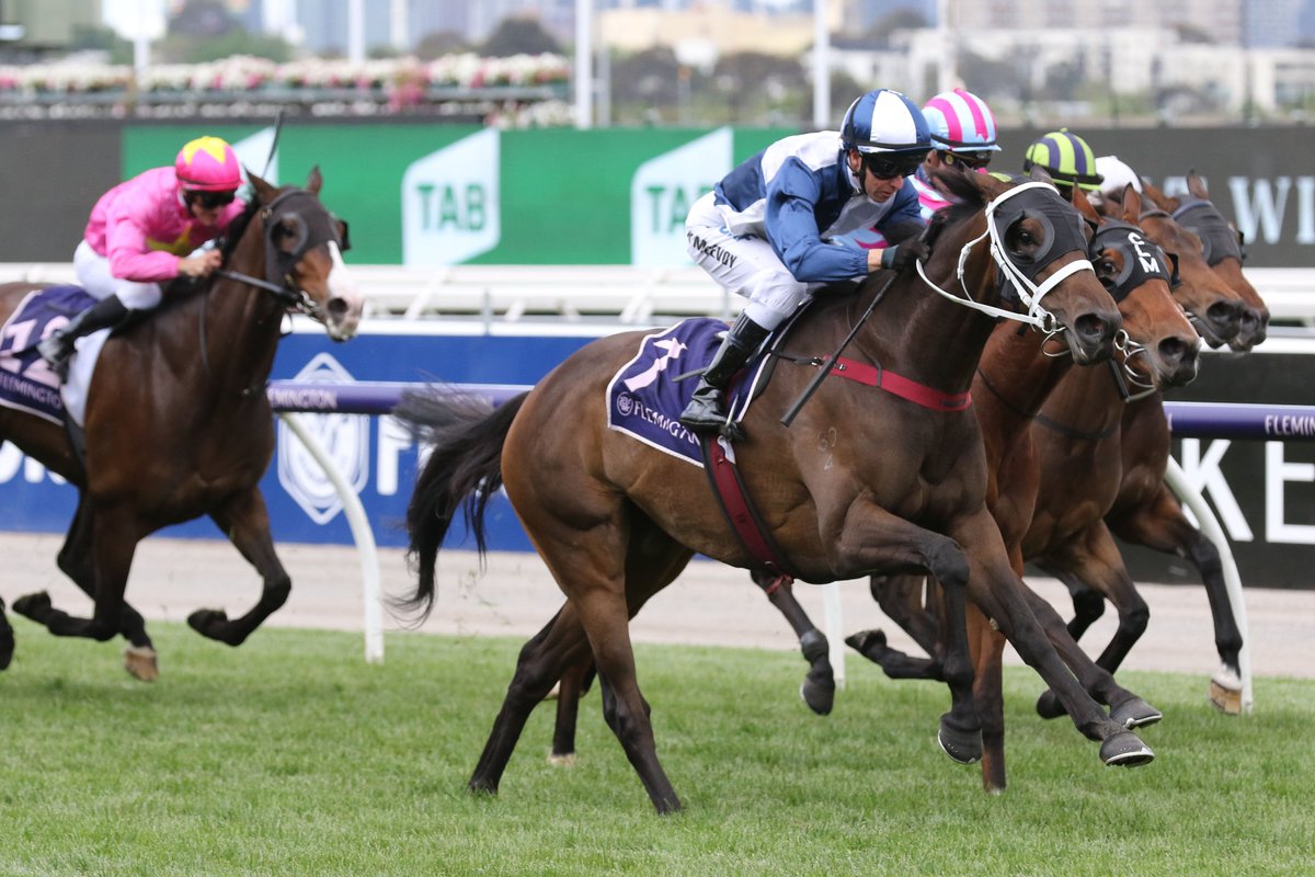 nzracingnews's tweet photo. Another win @FlemingtonVRC for @WaikatoStud champion sire #Savabeel with #Savacool winning the Twitter Trophy for @cwallerracing https://t.co/nfI6MjgwFY https://t.co/AwN69EPT1Q