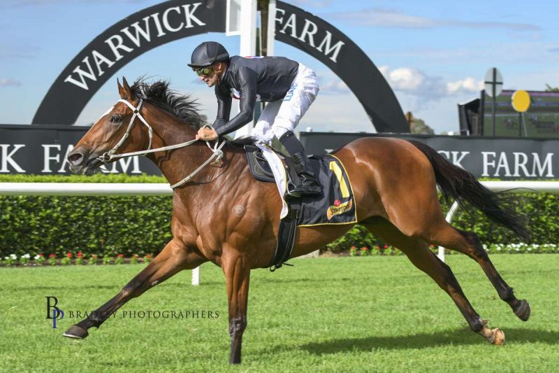 anz_news's tweet photo. Pecans, who is by @riverbankfarm1's Skilled, resumes with a victory in the Ladies Day Cup (Listed, 1400m) at Hawkesbury for trainer Joe Pride. A tried horse purchase for @tricoloursR from @inglis_sales after being offered by @godolphin, has now won six from 16 starts. https://t.co/KVlCcYlDnm