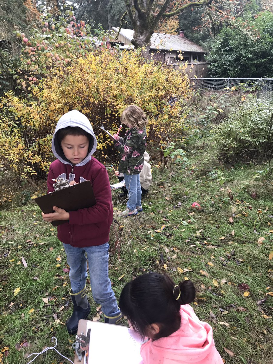 foster2ndeagle's tweet photo. We’re pretty lucky to have a bioswale on Imlay property! Today we put our boots on and learned how scientists study a habitat. We’ll keep checking back to see how it changes over time! #teachimlay #imlaysteam https://t.co/66lbzKflLa