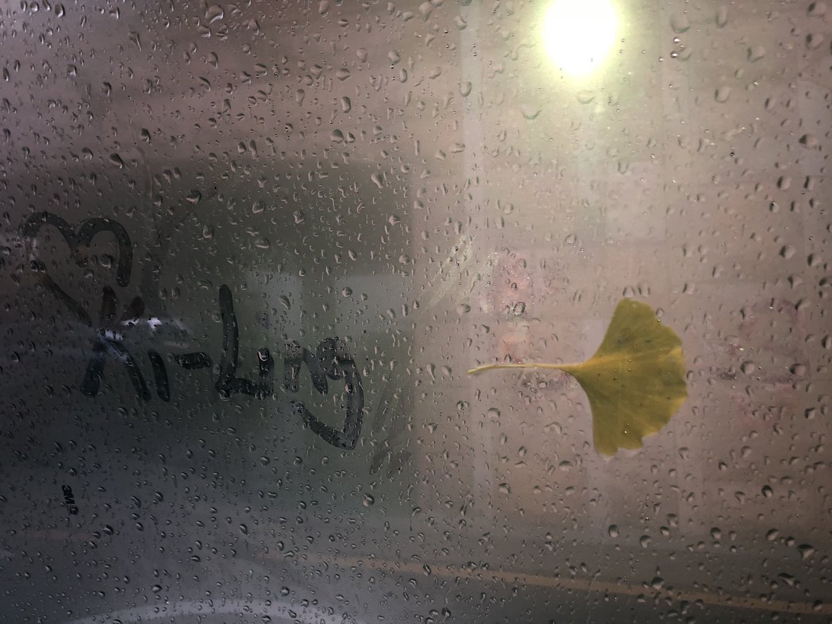 WekiMeki's tweet photo. 1. 이게 뭘까요~?
바로바로바로바로바로바로
.
.
.
.
.
.
.
.
사진을 보시면 됩니다!
(꼭 사진 순서대로 보기 약속🤙🏻!)
답은 우리가 키링한테 날아가는거에요><
조금만 기다려요~❤️w❤️
#마지막은사람이안보이네.. #하지만 #있는거에요>< #나는 #루시🐯 https://t.co/AMQfJ1N8r5