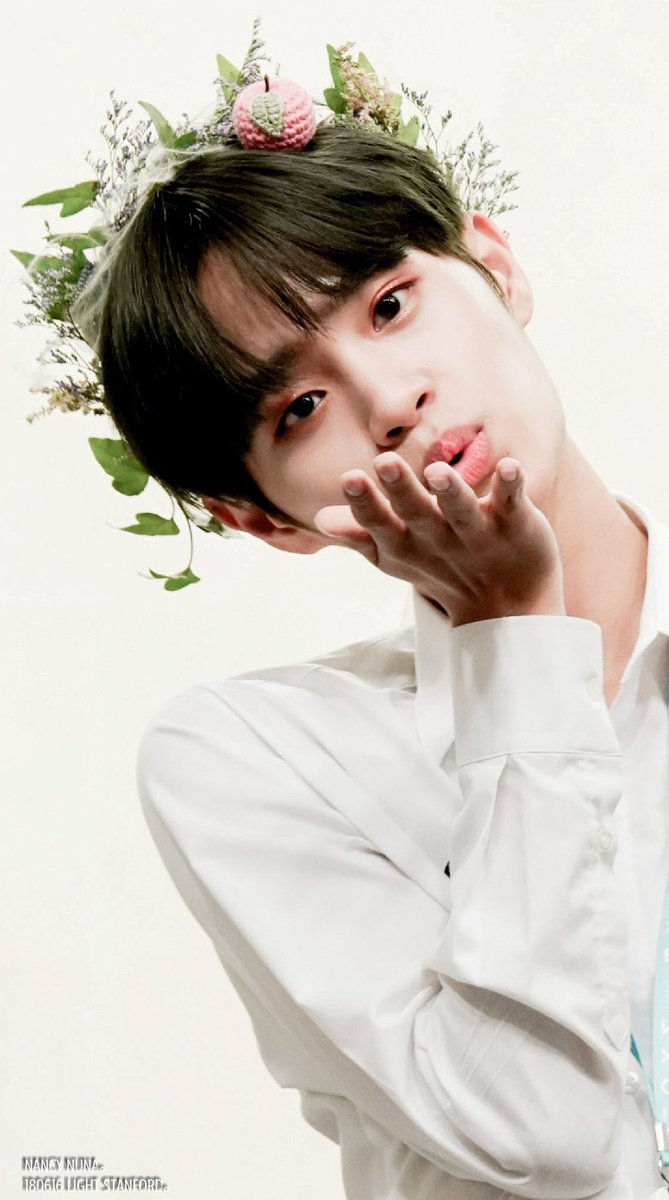 akrnakrnj's tweet photo. 난.......... 요정단.. 절때.. 오빠단에들어갈... 읍읍...( 😇 ....... 정화.,..... 정화가필요해😇😇😇😇😇😇😇😇 https://t.co/BoviEox8Ew