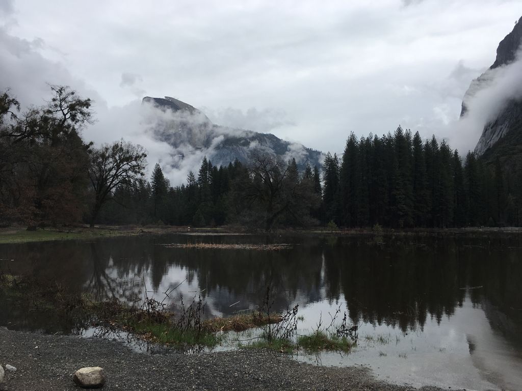 Psquaredbooks's tweet photo. Happy Wednesday!
Winter is coming!
#picoftheday #changingseasons #yosemite #adventures #california https://t.co/azFip6zsI6