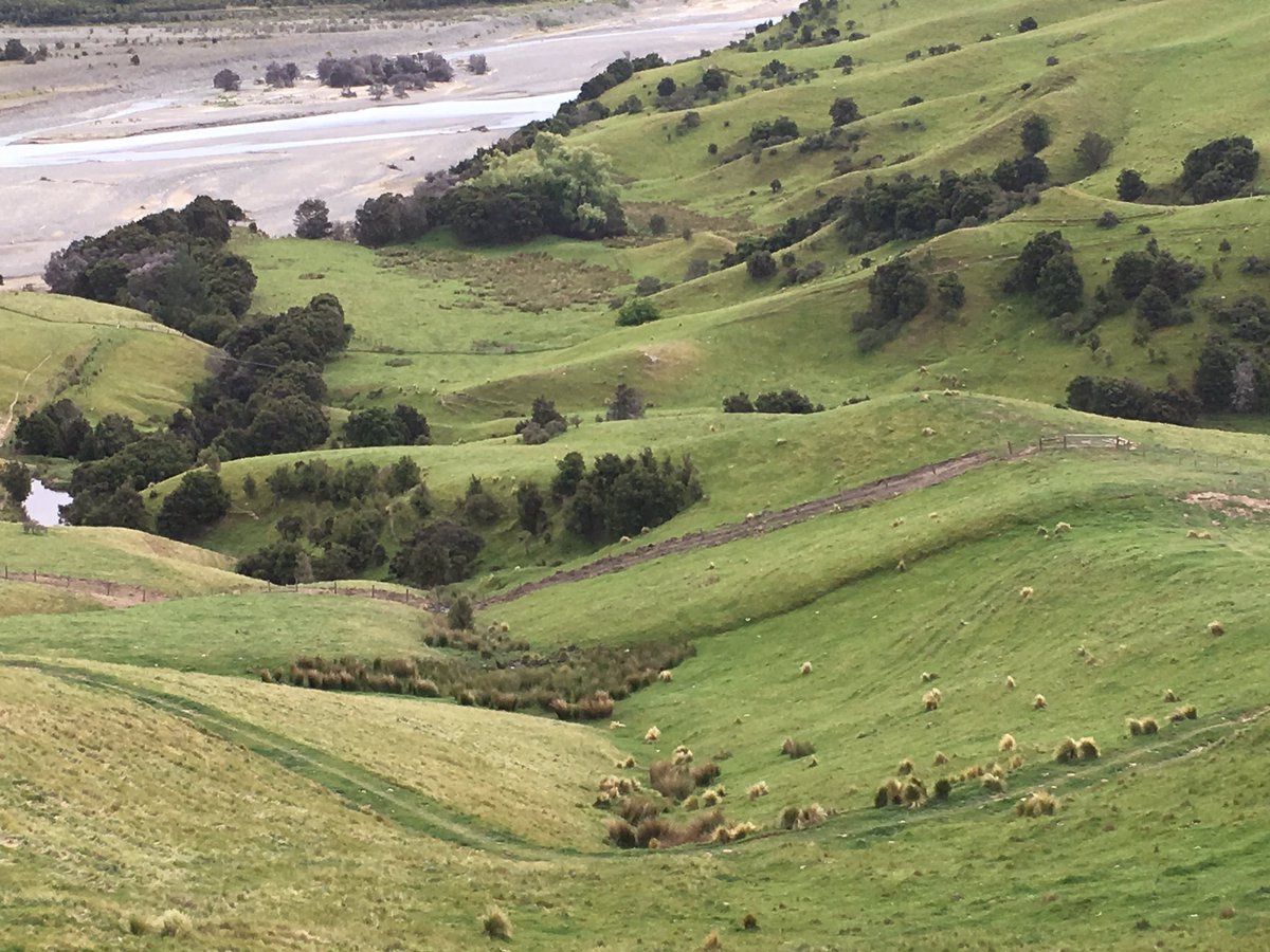 Kate Clark tweet media