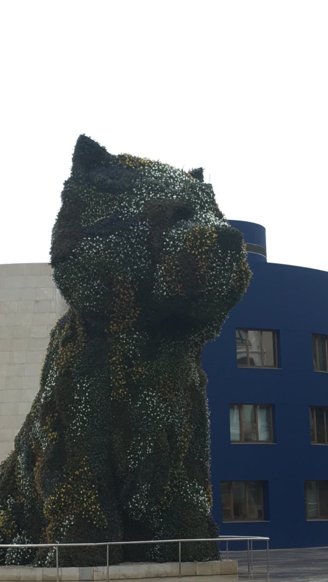 Bilbao puppy...huge thing.! #bilbao #guggenheim #parkingticket😲