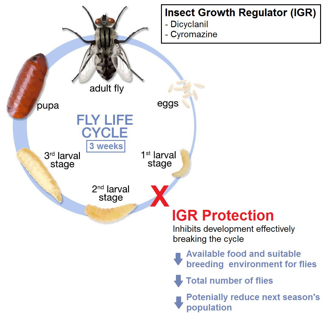 Break the fly cycle by protecting sheep against fly strike with an IGR. Apply early before flies emerge. Not only are you protecting production performance but potentially reducing subsequent fly population.  <a href="/deltaagribus/">Delta Agribusiness</a> #sheep365 #LivestockManagement
