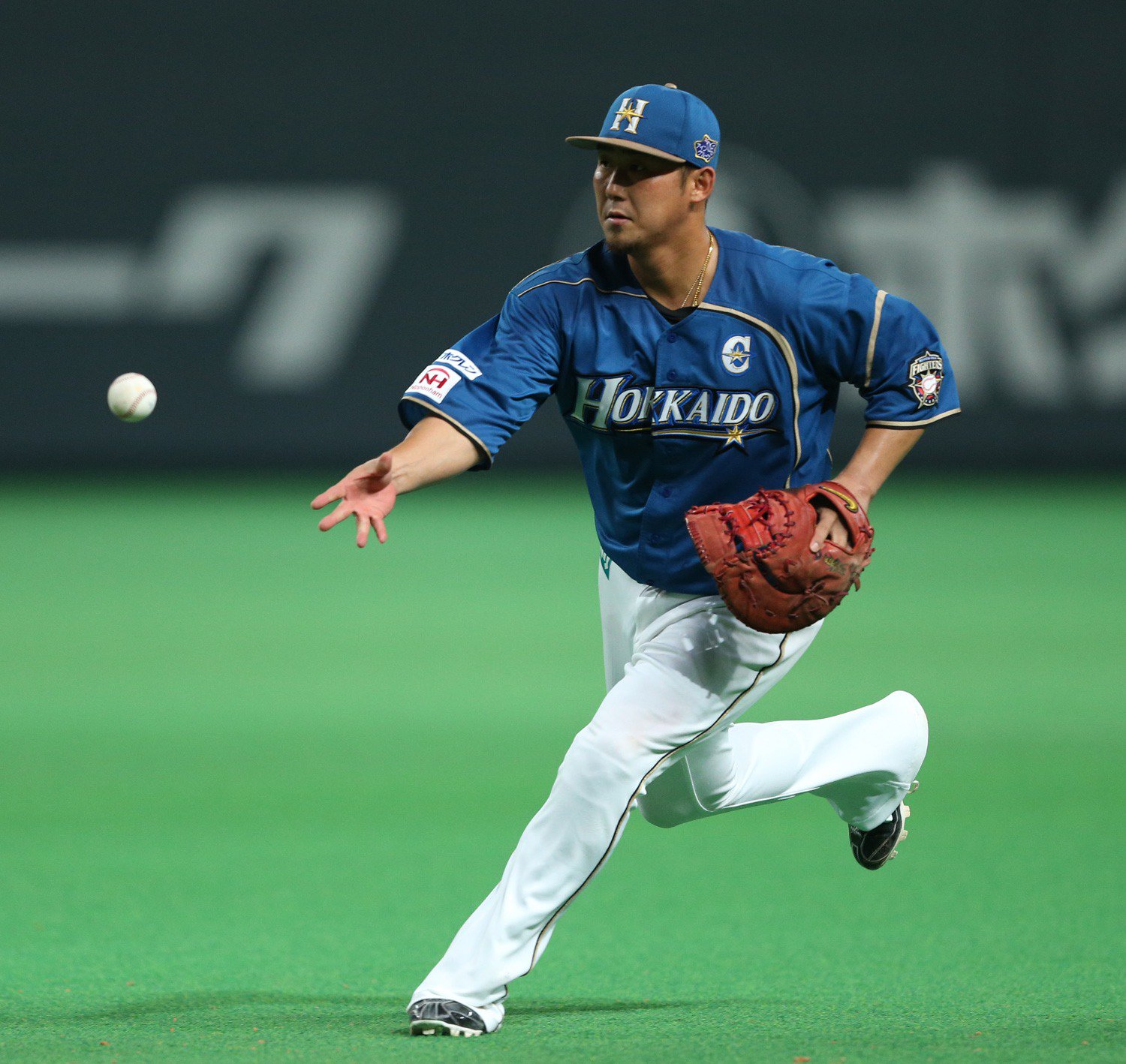 パ・リーグ外野手｜受賞選手一覧｜第49回 三井ゴールデン