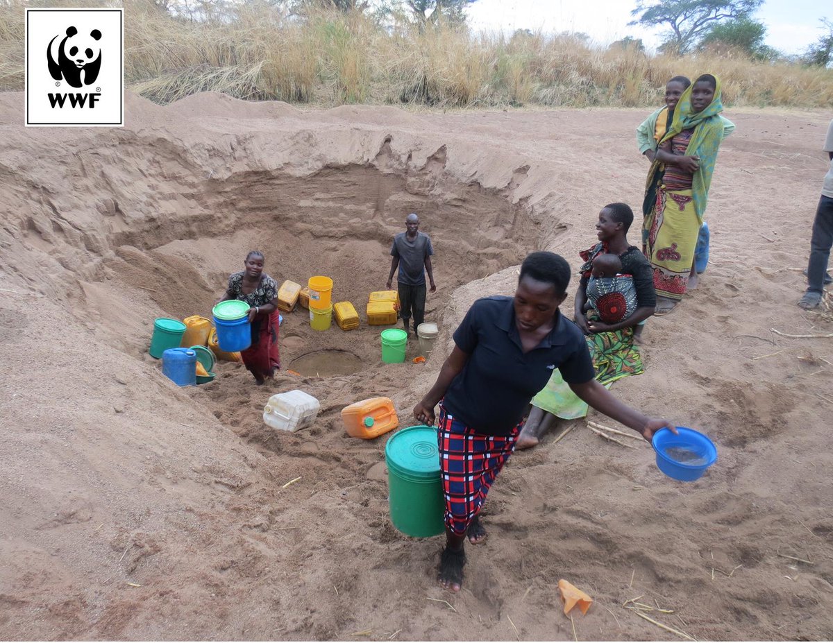 WWFTANZANIA's tweet photo. #DYK On average every Tanzanian uses between 50 and 70 litres of water for domestic use everyday! And a very small amount of this water is recovered. #Waterallocationplan is a solution to #effectivewateruse https://t.co/Jm5Gbj3JvB