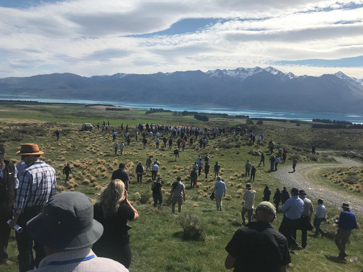 t1mbo9's tweet photo. 2018 Grasslands Association Conference, fantastic venue, topics and farmer hosts #grasslands #balancingextremes #learninginthefield https://t.co/qxWdg7TyZz