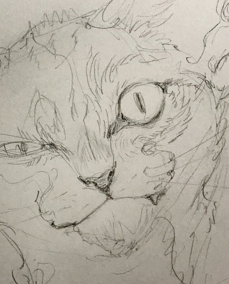 次の展示では猫描きます 