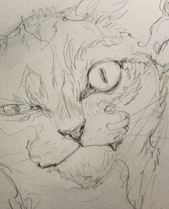 次の展示では猫描きます 