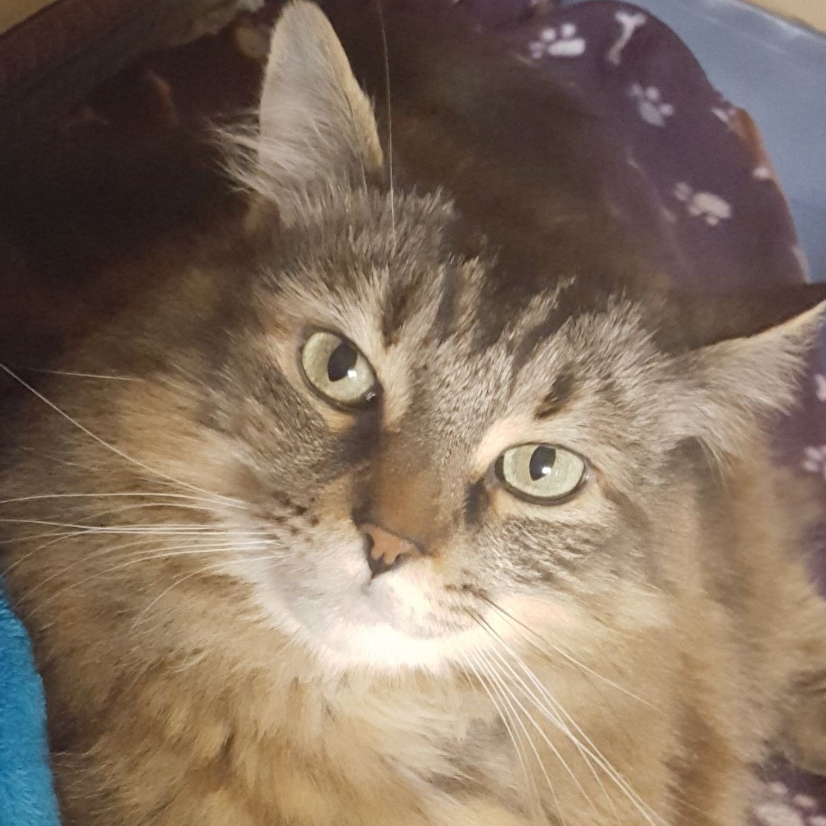 Keep it real, I'm no fool! #dontbeapunk