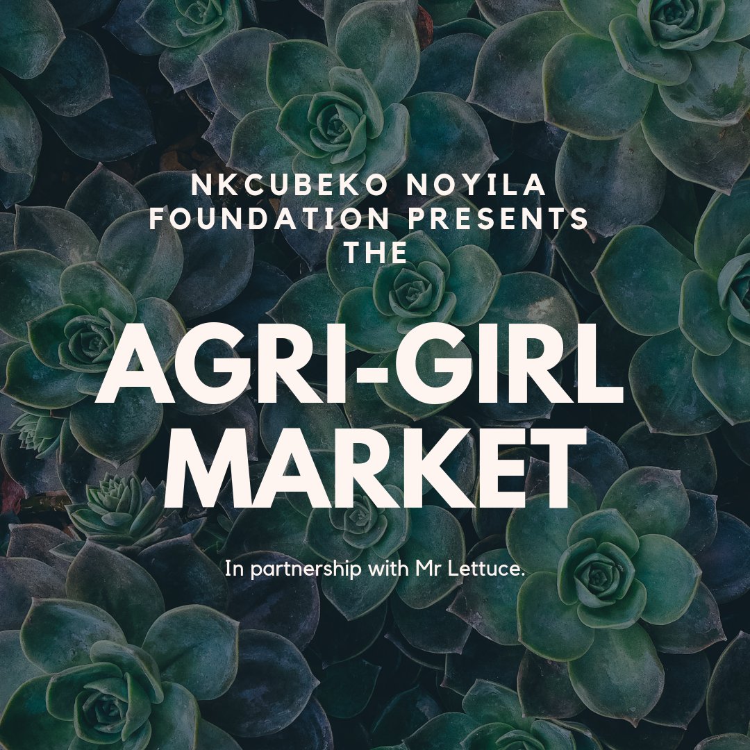 NNFSA1's tweet photo. Agri-Girl is an initiative started by NNF to help empower and equip young women through agricultural activities, to be part of this initiative please DM us, Today! #AgriGirl #NNF #Womandla 😃 https://t.co/Knanojwk5d