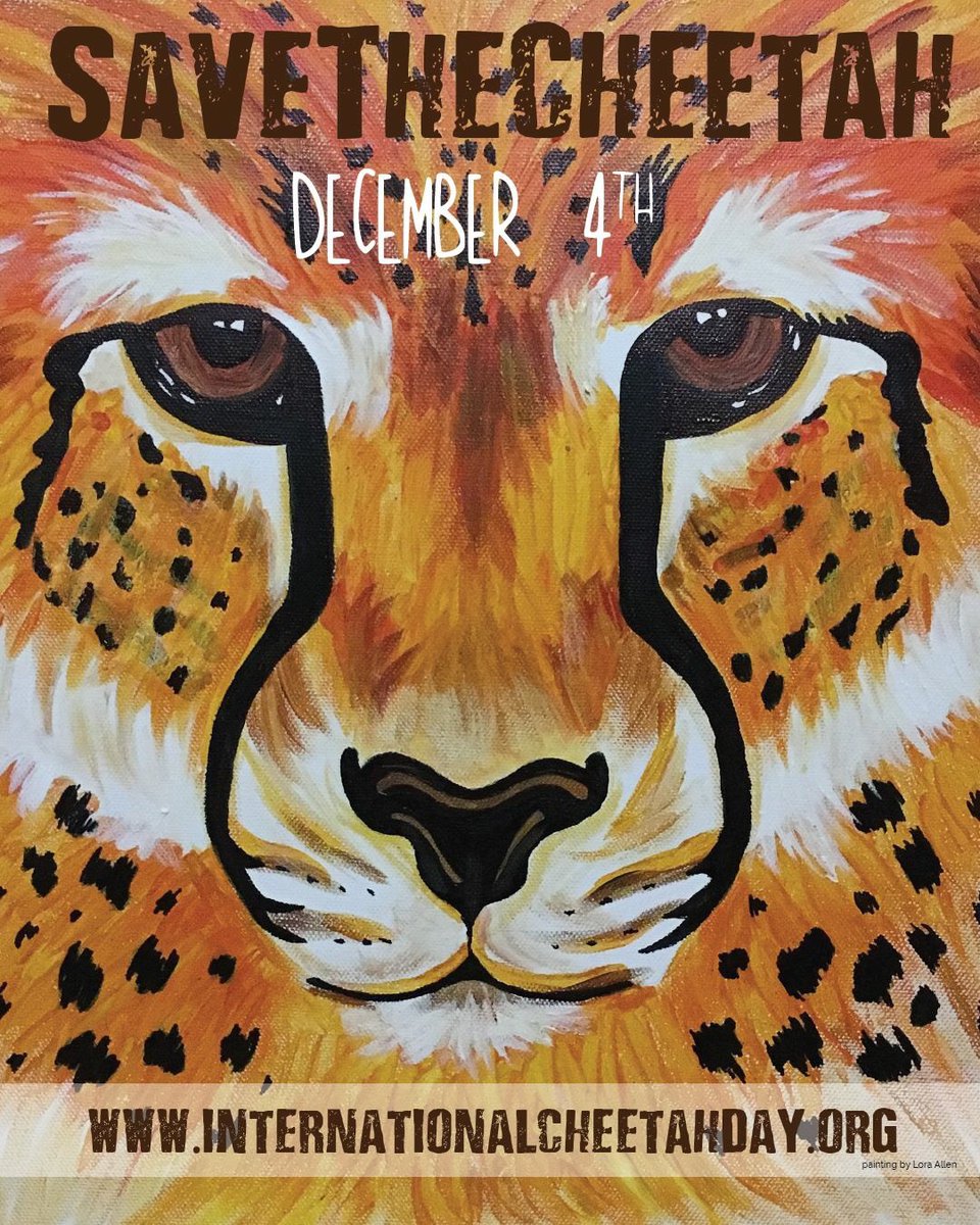 CCFCheetah's tweet photo. Less than one month left until International Cheetah Day on December 4th! What will you be doing to celebrate the cheetah this #IntCheetahDay? List your events on the International Cheetah Day website and let people know how they can participate. https://t.co/sVXdBXmsUL https://t.co/ouZ1elwGBE
