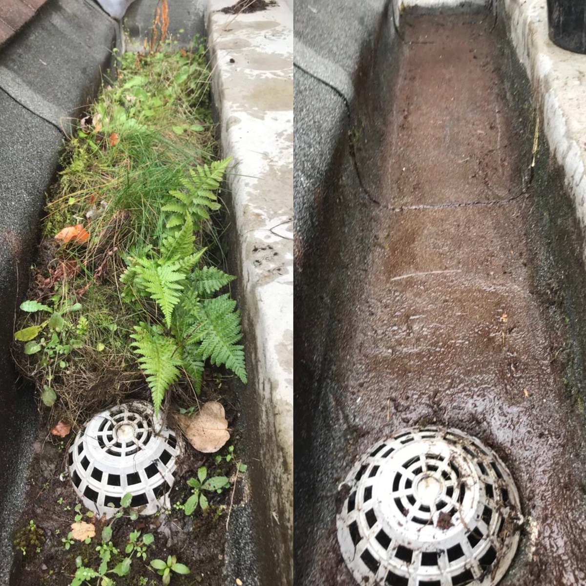 EverClean01's tweet photo. Gutter clearing on an industrial premises in Aberdeen. Regular clearing is important in order to allow water to flow freely from the roof. https://t.co/8KvbVg21Ai