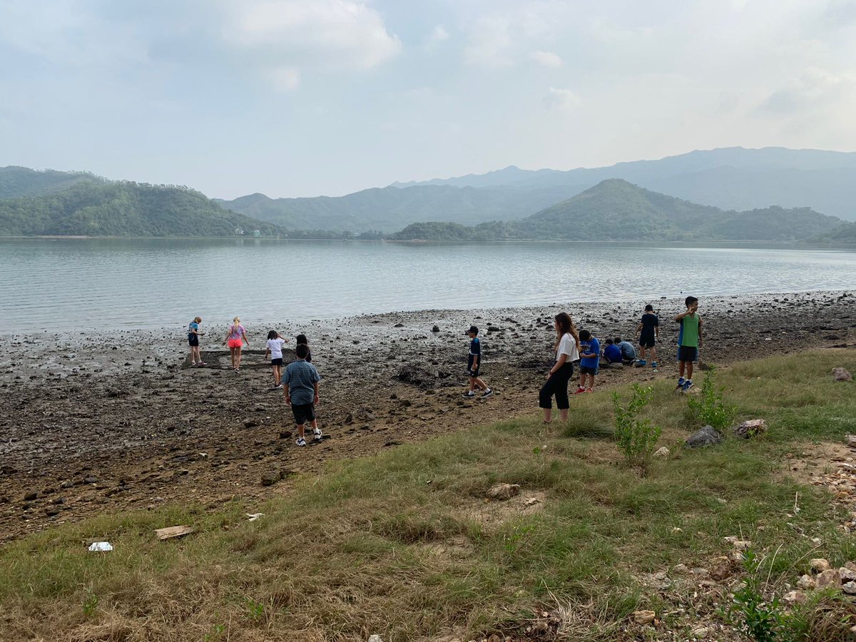 ICHK_edu's tweet photo. Amazing learning during our Bioblitz day, with so many species of animals and plants located. #ICHKOutdoorlearning https://t.co/QpXxPcYX4N