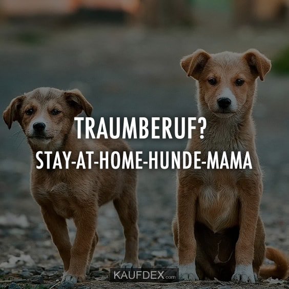 Kaufdex On Twitter Traumberuf Stay At Home Hunde Mama
