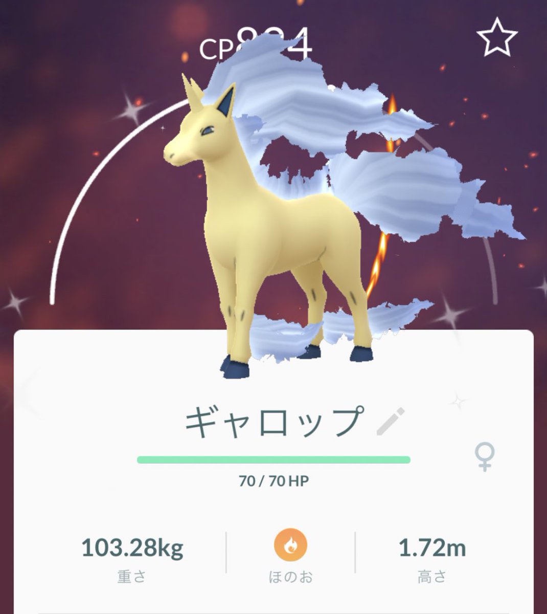 色違いギャロップ 色違いギャロップ