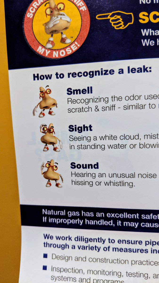 Izzy Maxwell tweet media