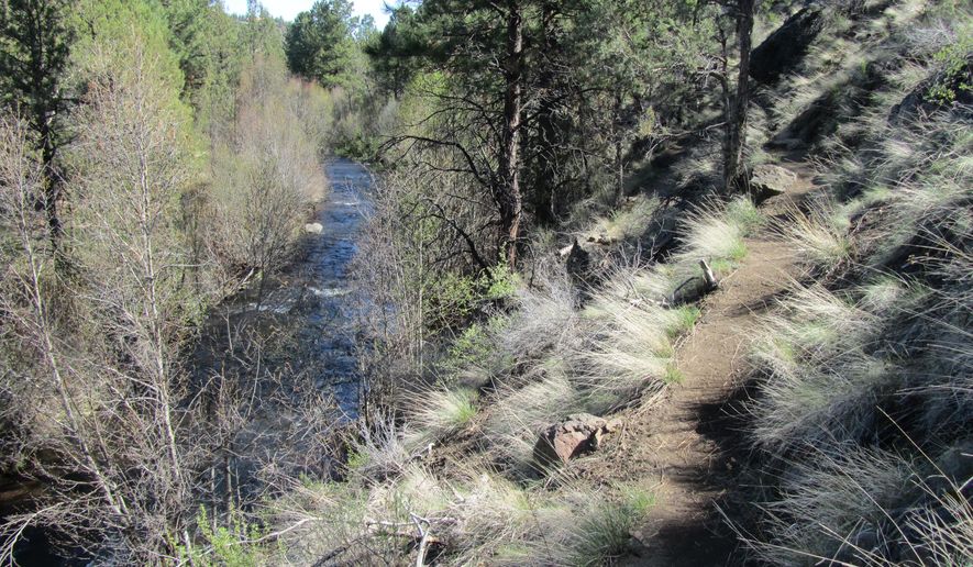 DenaliObserver's tweet image. Hiking at Whychus Canyon Preserve near Sisters (The Denali Observer) - denaliobserver.com/hiking-at-whyc…
