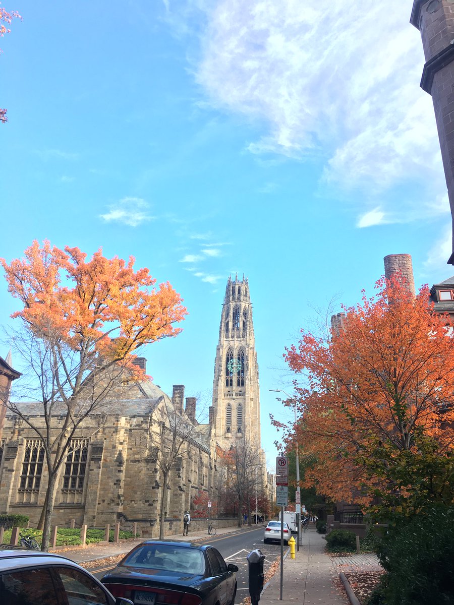 Fall colors in the #gscia.