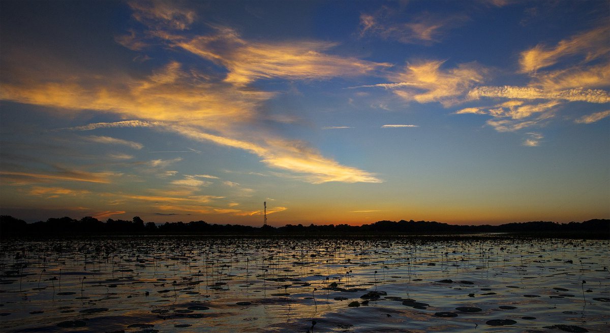 Good morning, #Florida! #LoveFL