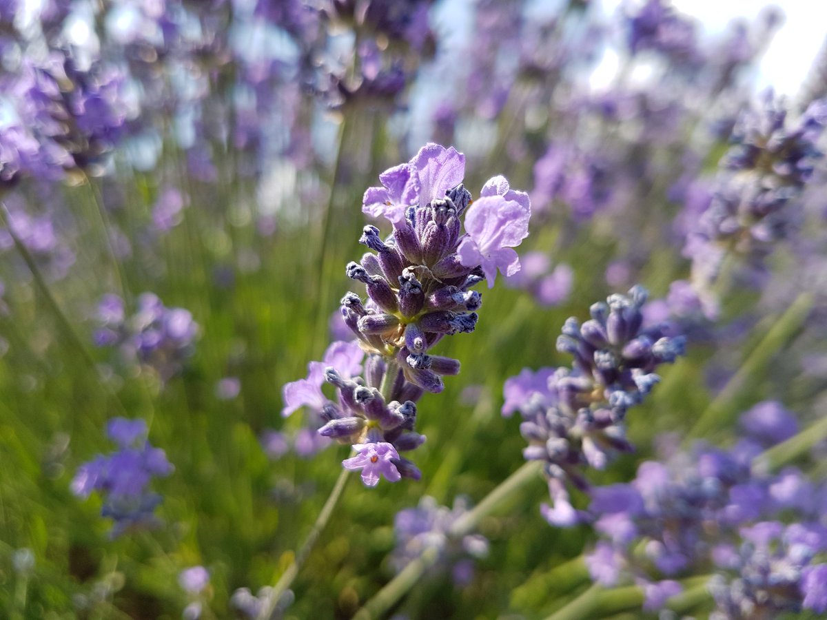 Get HD Wallpaper For iPhone