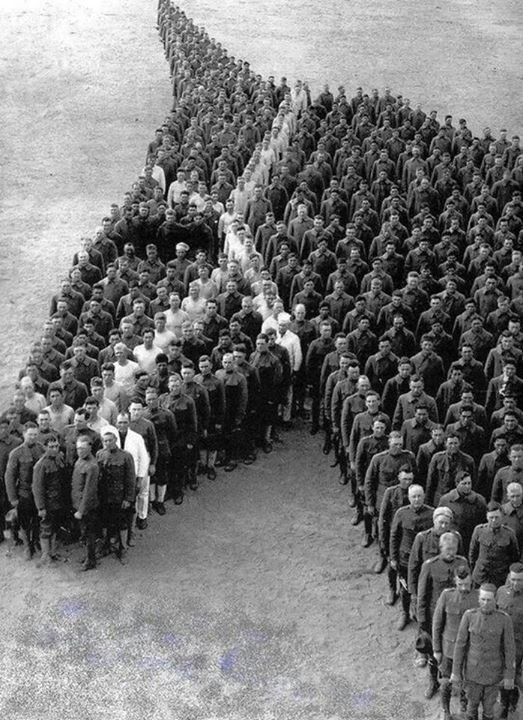 Ascot's tweet image. Lest We Forget 

Remembering our fallen heroes both equine and human this weekend.

🇬🇧🇬🇧