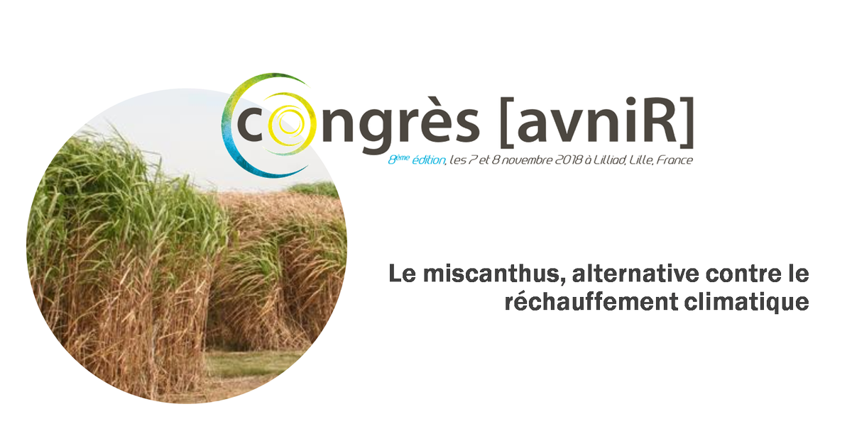 INOVERTIS tweet media