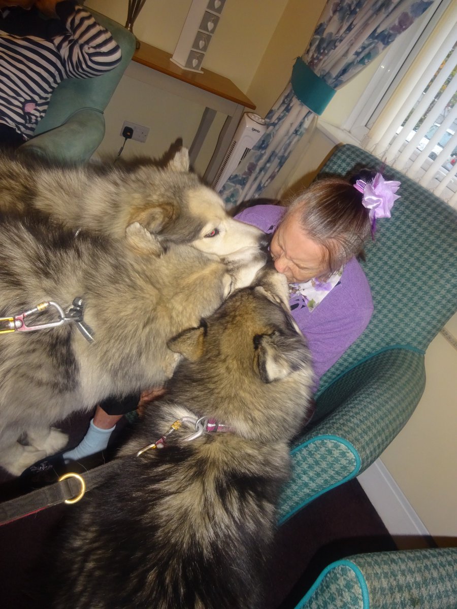 The <a href="/TherapyHuskies/">Therapy Huskies</a> are always a hit in our homes! Averill house welcomed the awesome foursome this time for plenty of cuddles and kisses! #hcone #kindcare #therapyanimals