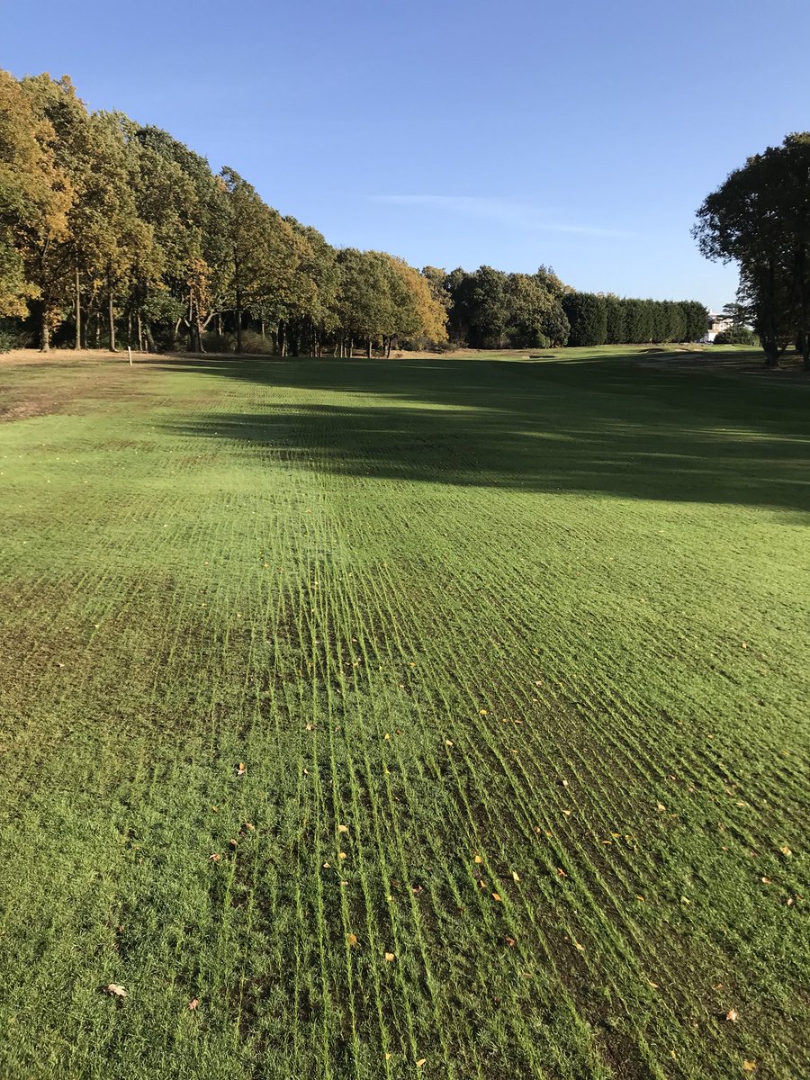 domlewisgolf's tweet photo. Strong signs of recovery @HadleyWoodGC after the overseeding done by @turftonics with @GerminalAmenity seed mixes. https://t.co/uHqjgiQKKn