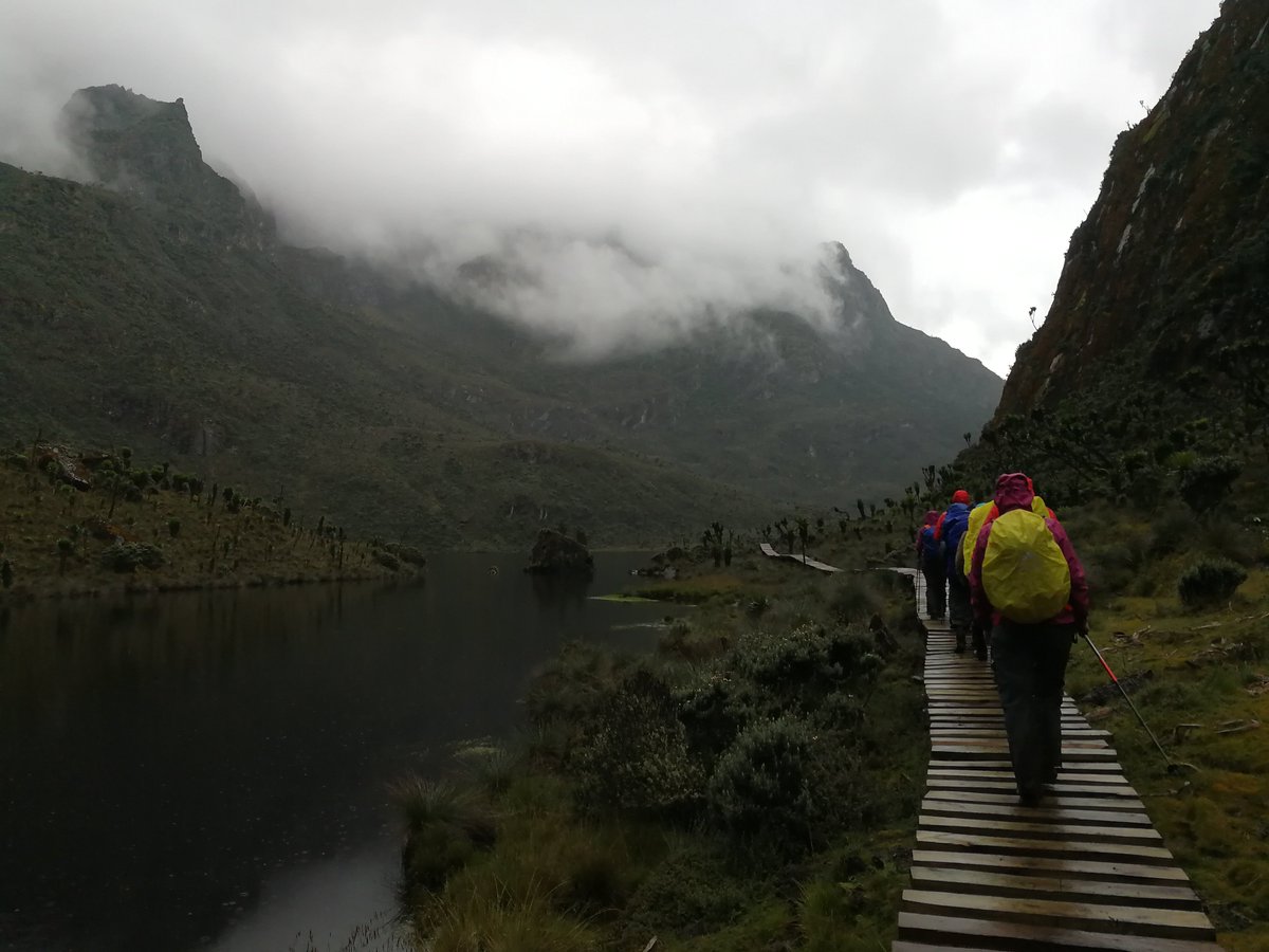 7SummitsAfrica's tweet photo. #7SA2018 It's all about the bogs today as the team makes their way from John Matte Hut (3,503m) to Bujjuku Hut (3,962m). Bogs and Boardwalks.... and views! Mt Speke Summit Attempt tomorrow!!!!! #conservationthroughtourism https://t.co/z4tdUZw9zS