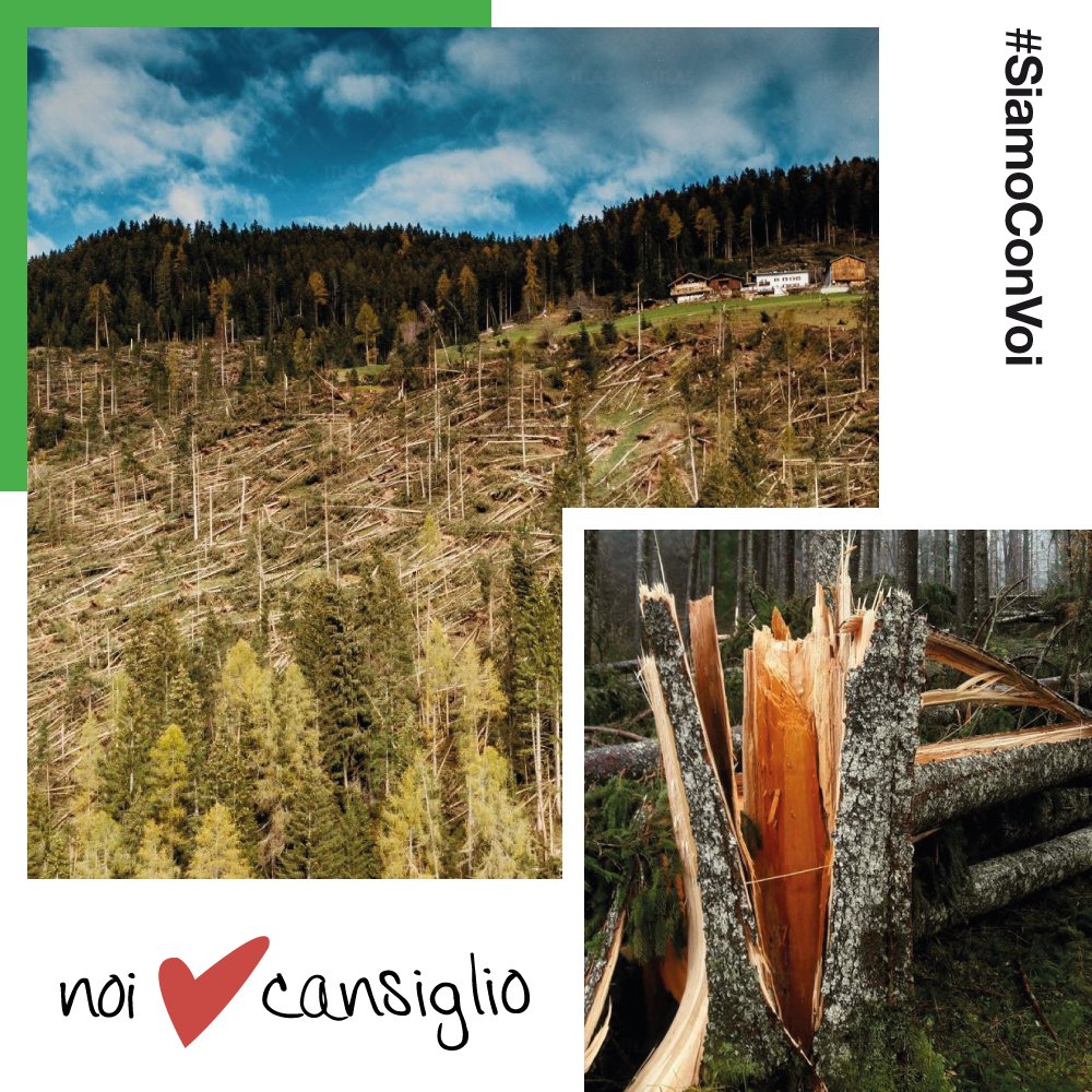 Ci è difficile immaginare la Foresta del Cansiglio, così come è oggi, spogliata del suo manto di abeti e di faggi. 🌳🌳 
Oggi, con le lacrime che scendono dal cuore, siamo pronti a collaborare con le istituzioni per  recuperare il legname caduto a terra. 

Noi ♥️ #Cansiglio