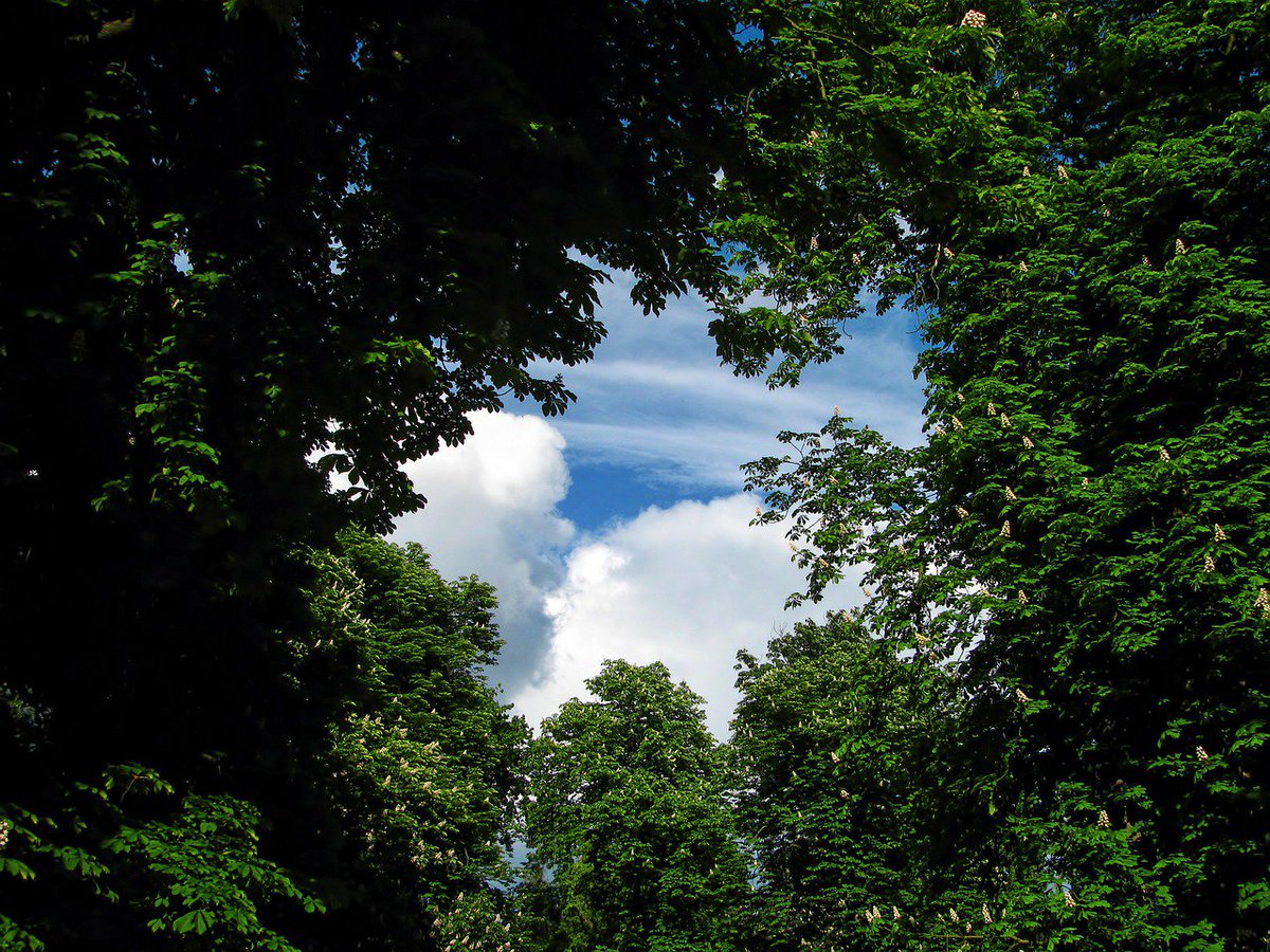 Les Entreprises du Paysage tweet media