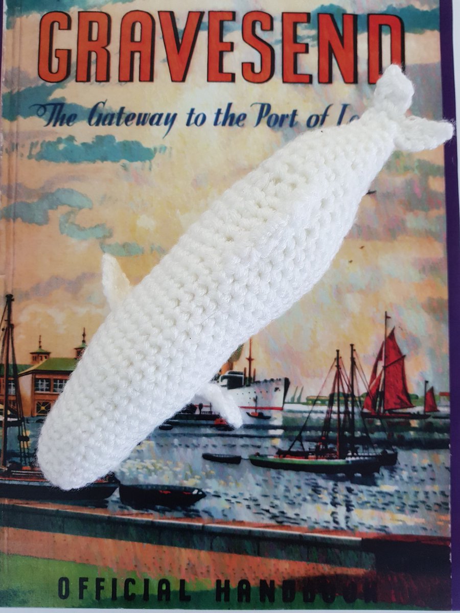 Visit_Gravesham's tweet photo. I am completely chuffed with my Benny or Belinda the Beluga Whale, kindly crocheted by a very talented Sarah, from #Gravesham Urban Knitters. π³
Swimmingly on show @GravesendMarket!
#BennyTheWhale @graveshambc https://t.co/hQJI2rEtc4